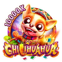 CHILIHUAHUA - XTRAPLAY88