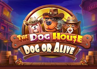 The Dog House - Dog or Alive - XTRAPLAY88
