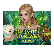 Enchanted Forest - XTRAPLAY88
