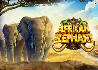African Elephant - XTRAPLAY88